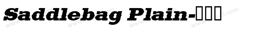 Saddlebag Plain字体转换